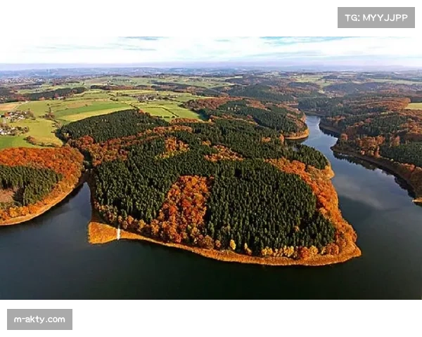 亚马逊获得德国超级杯未来三年独家流媒体版权